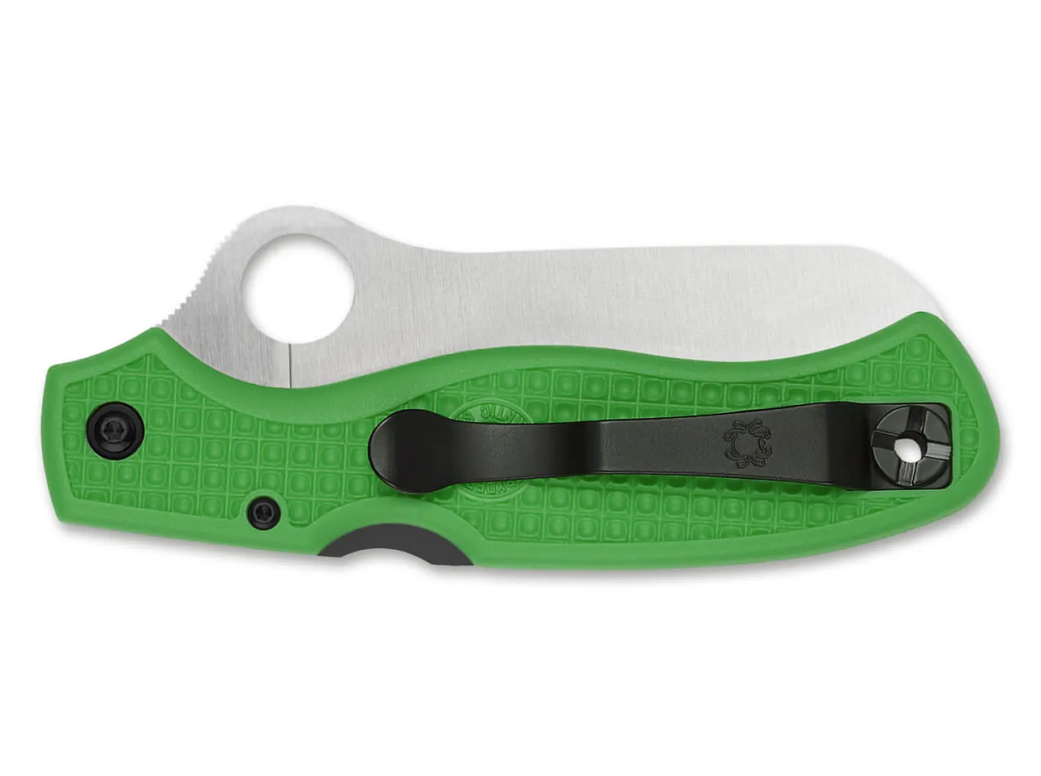 Atlantic Salt Green