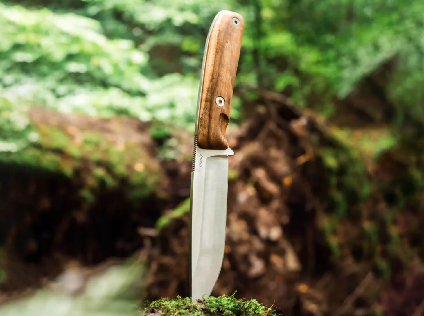 Blaze D2 Walnut