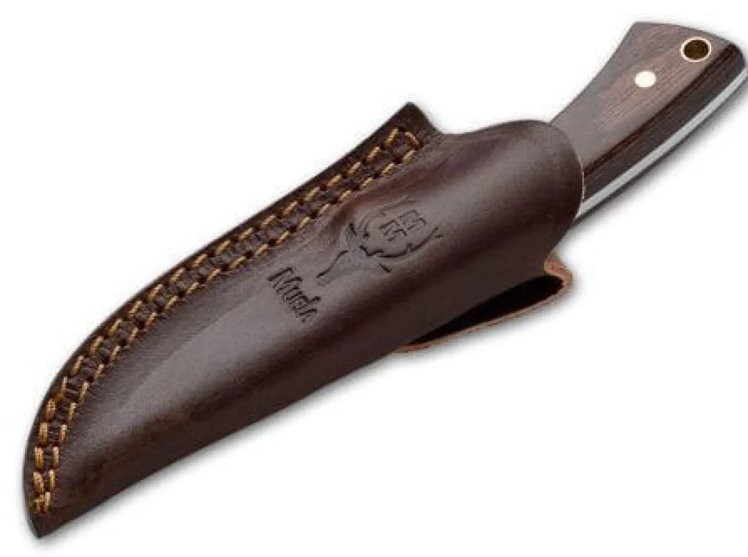 Colibri Wood