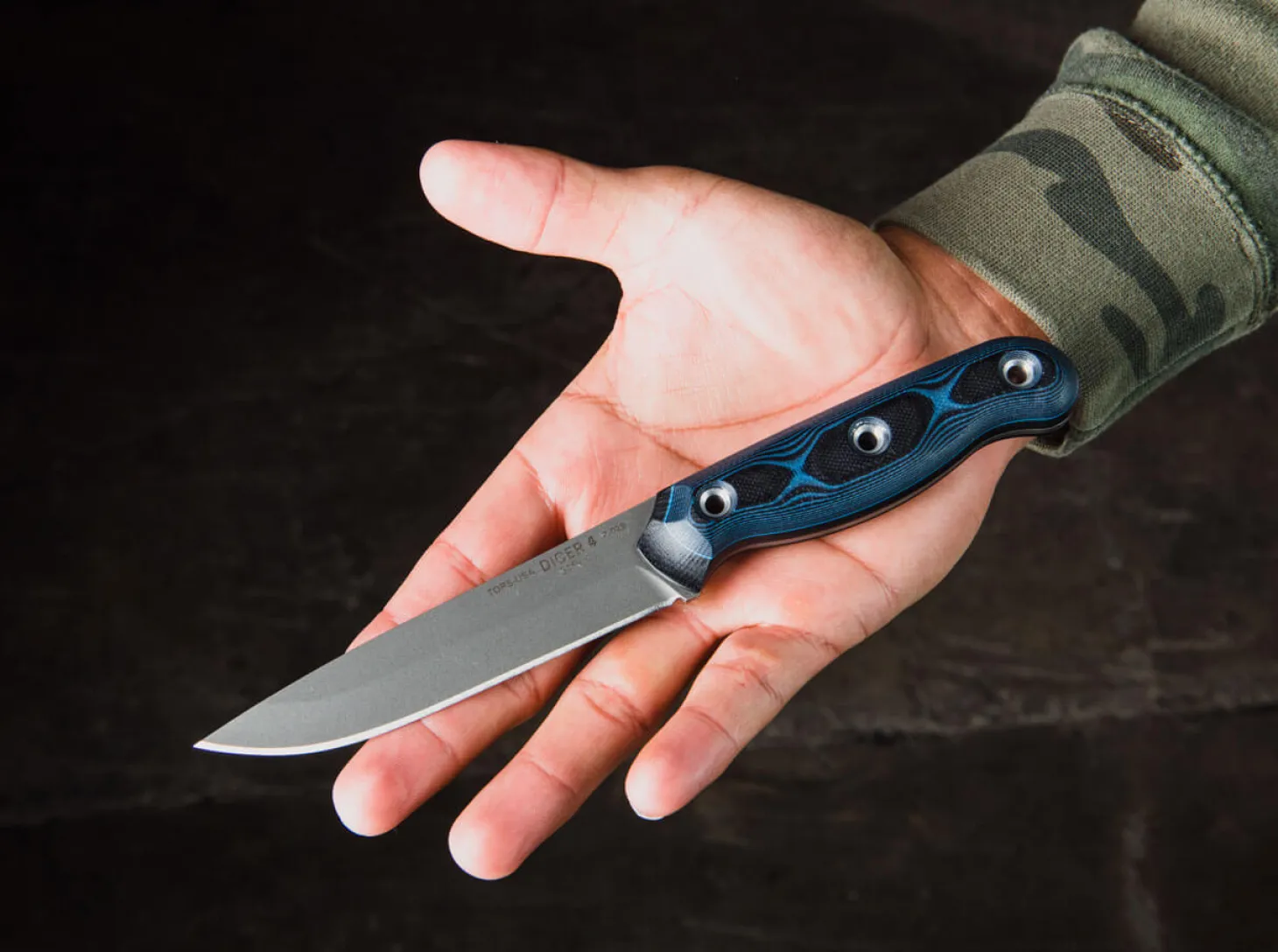 Dicer 4 Steak Knife Blue
