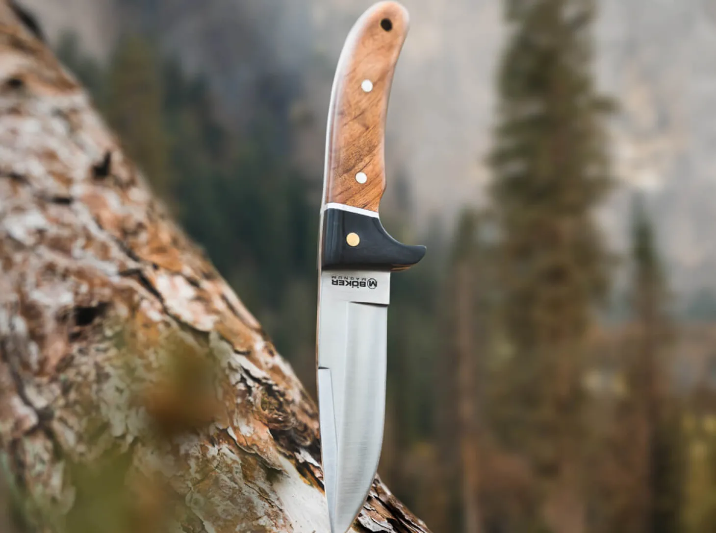 Elk Hunter