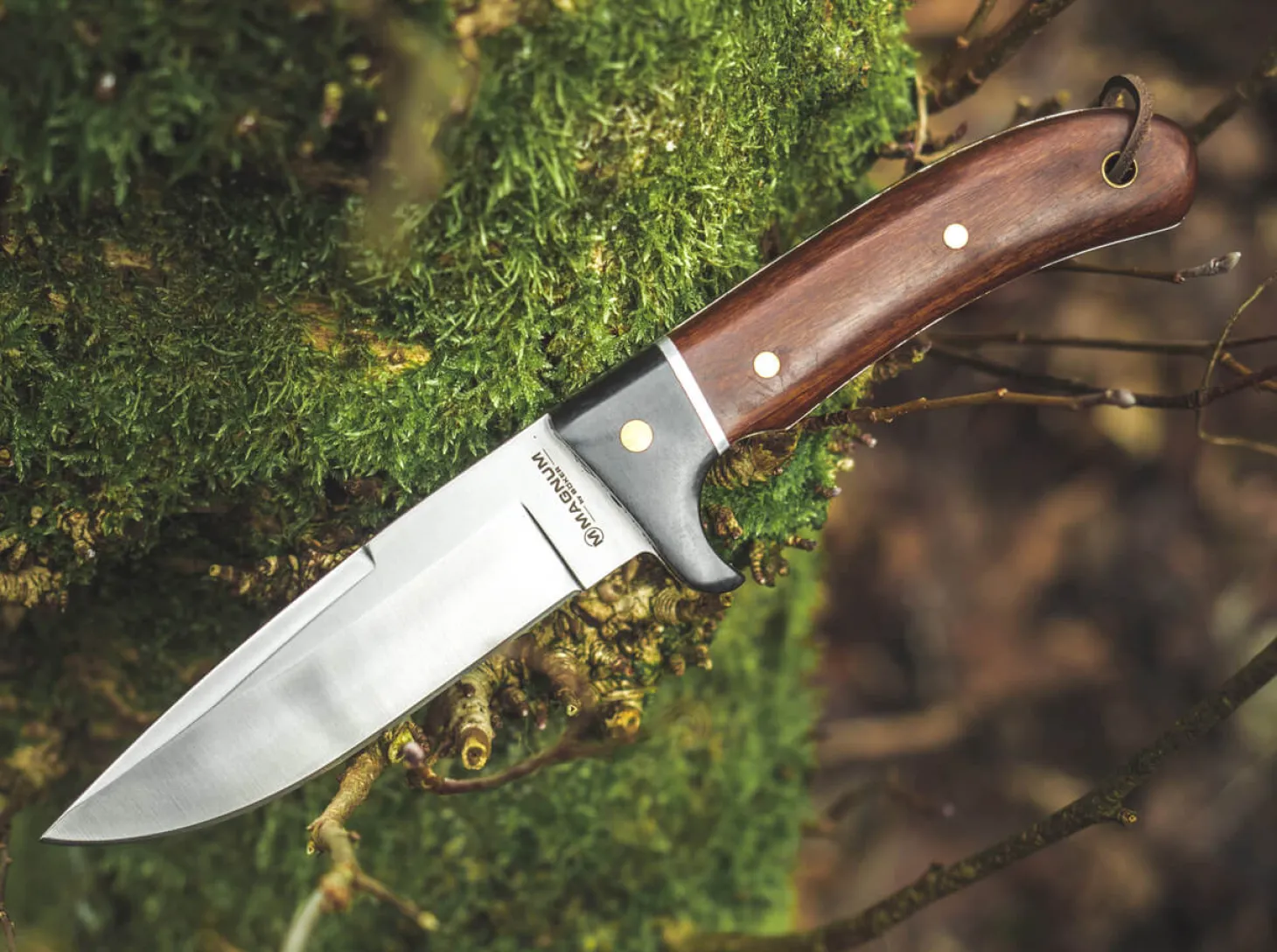 Elk Hunter Special