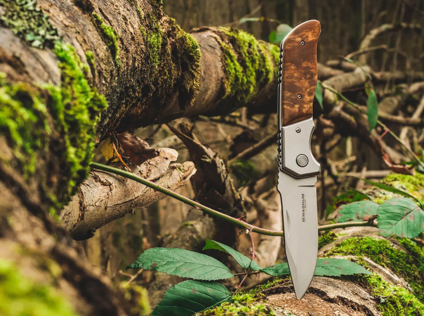 Forest Ranger 42