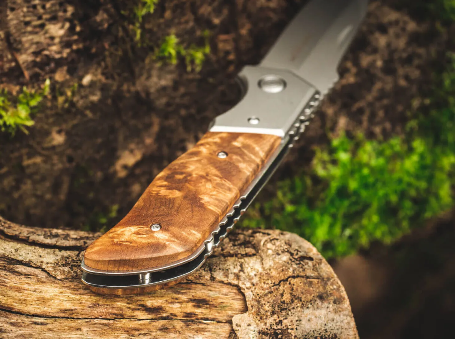 Forest Ranger 42