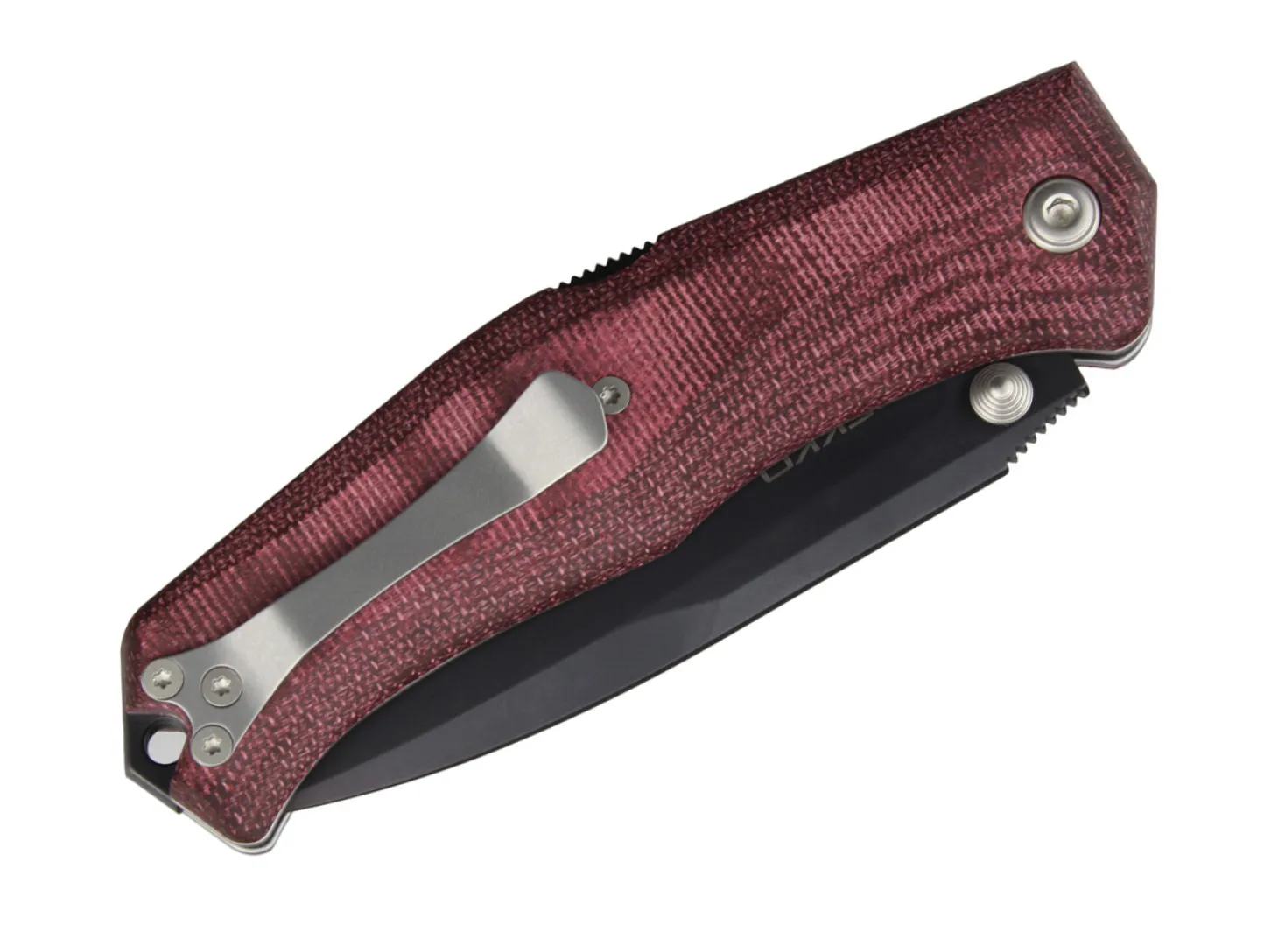 Gekko 1555