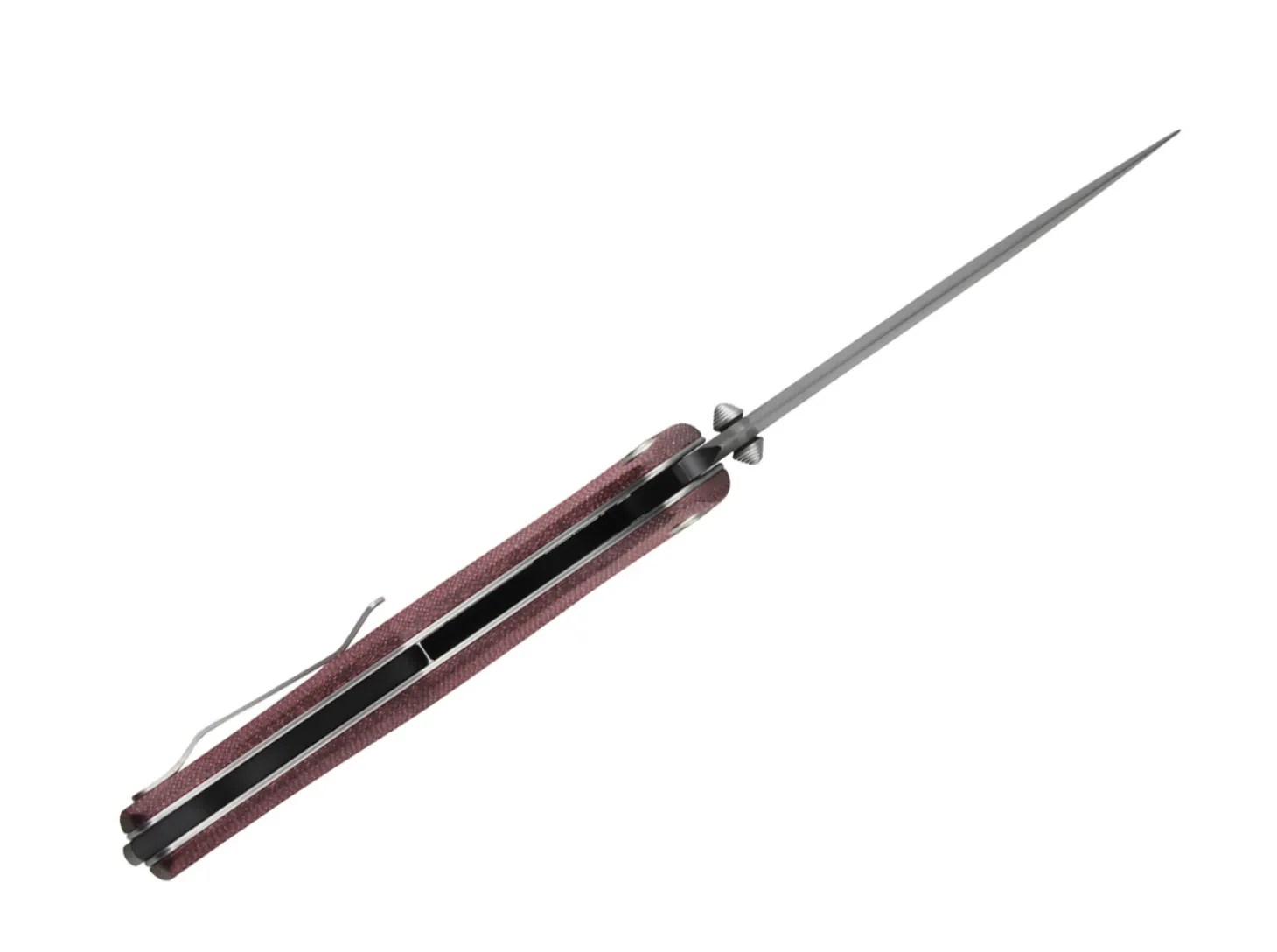 Gekko 1555