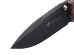Gekko 1555