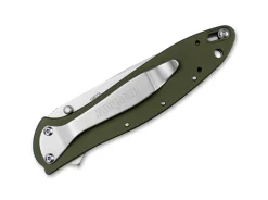 Leek Olive