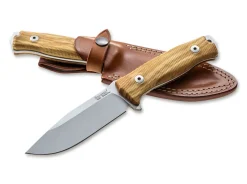 M5 Olive Wood