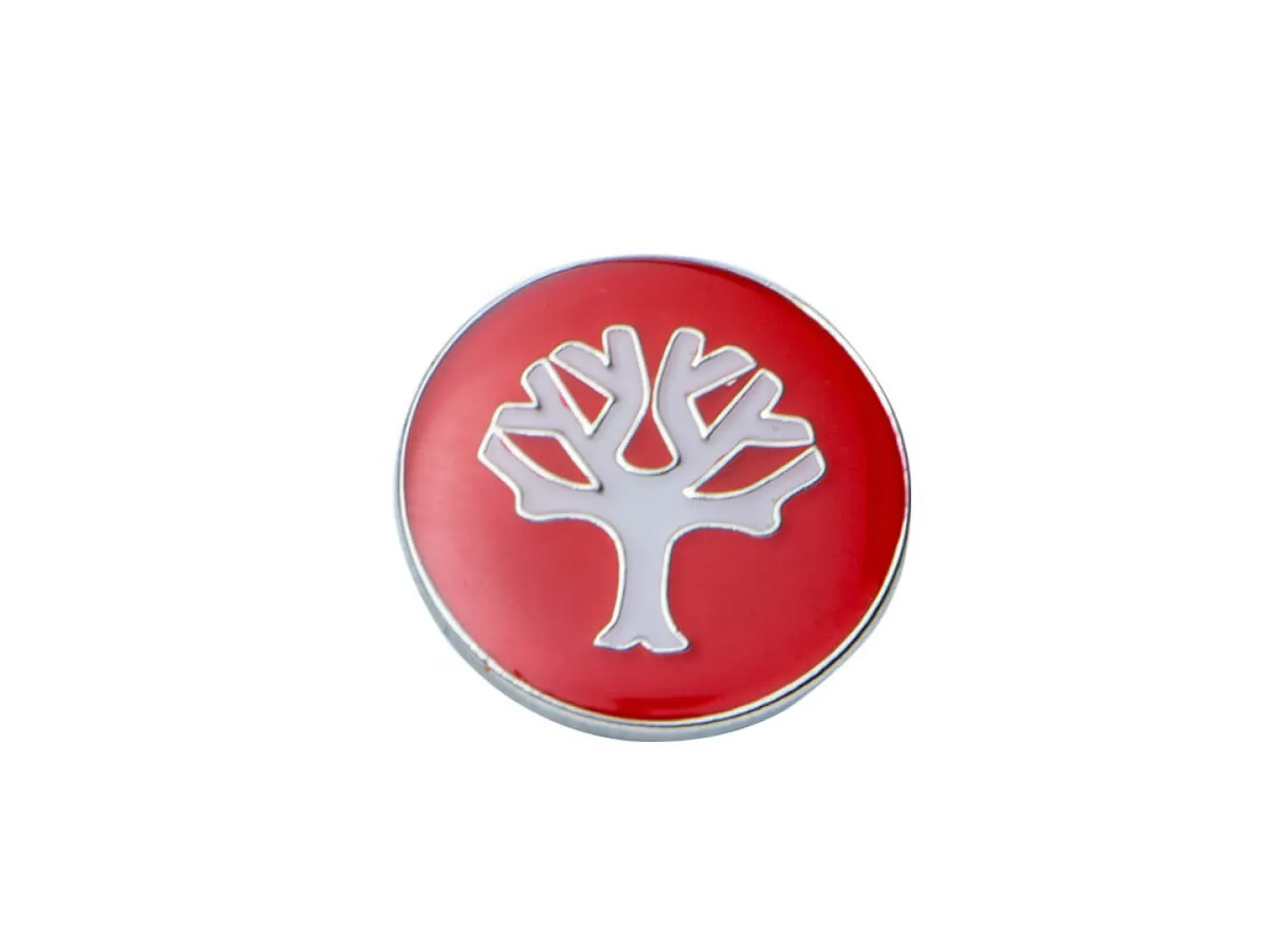 Pin