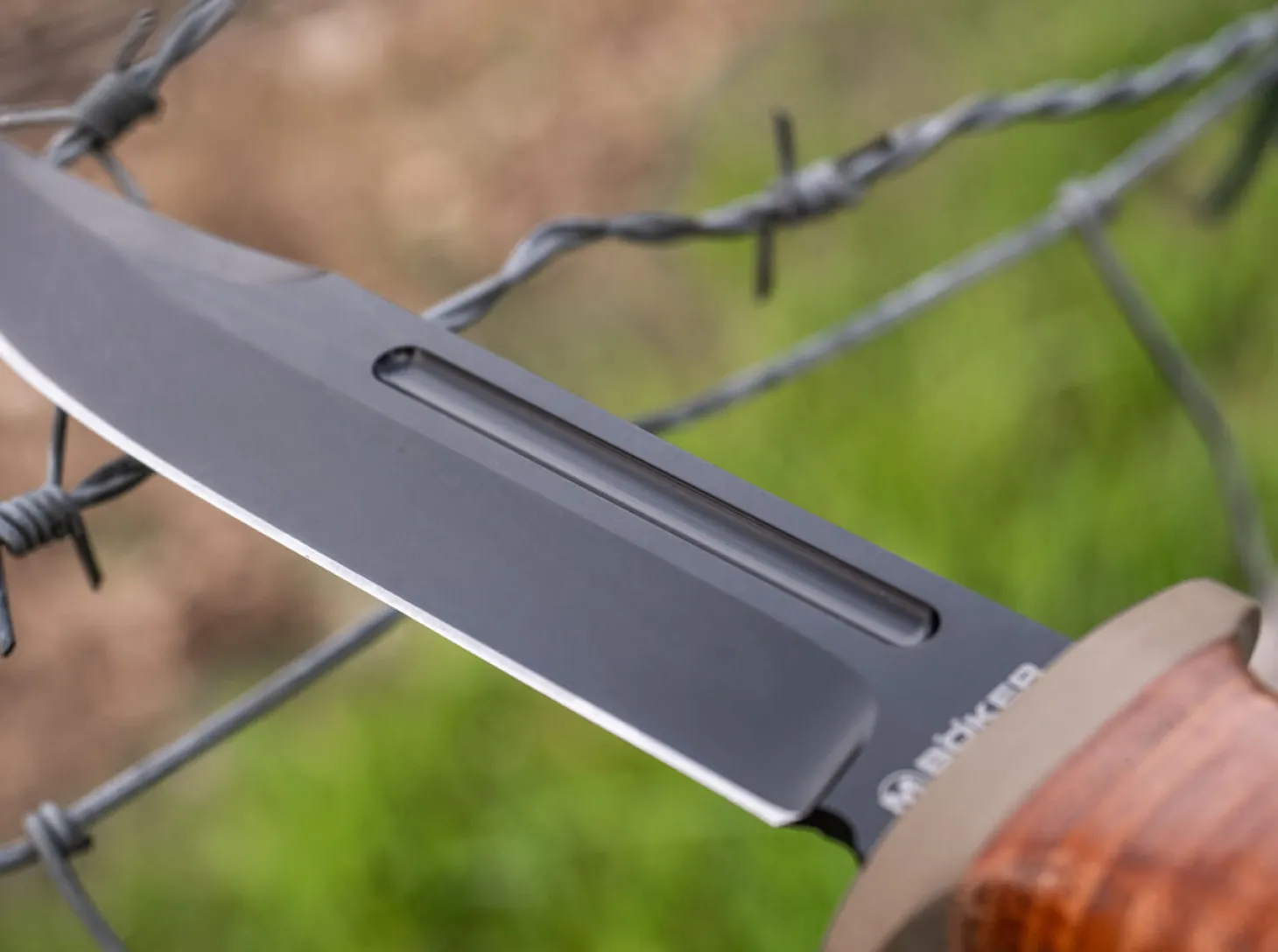 Ranger Field Bowie