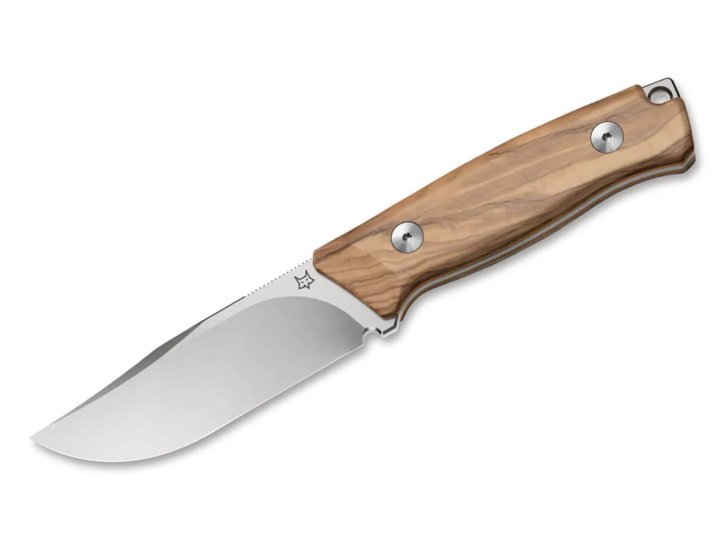 Receiver Olive Wood