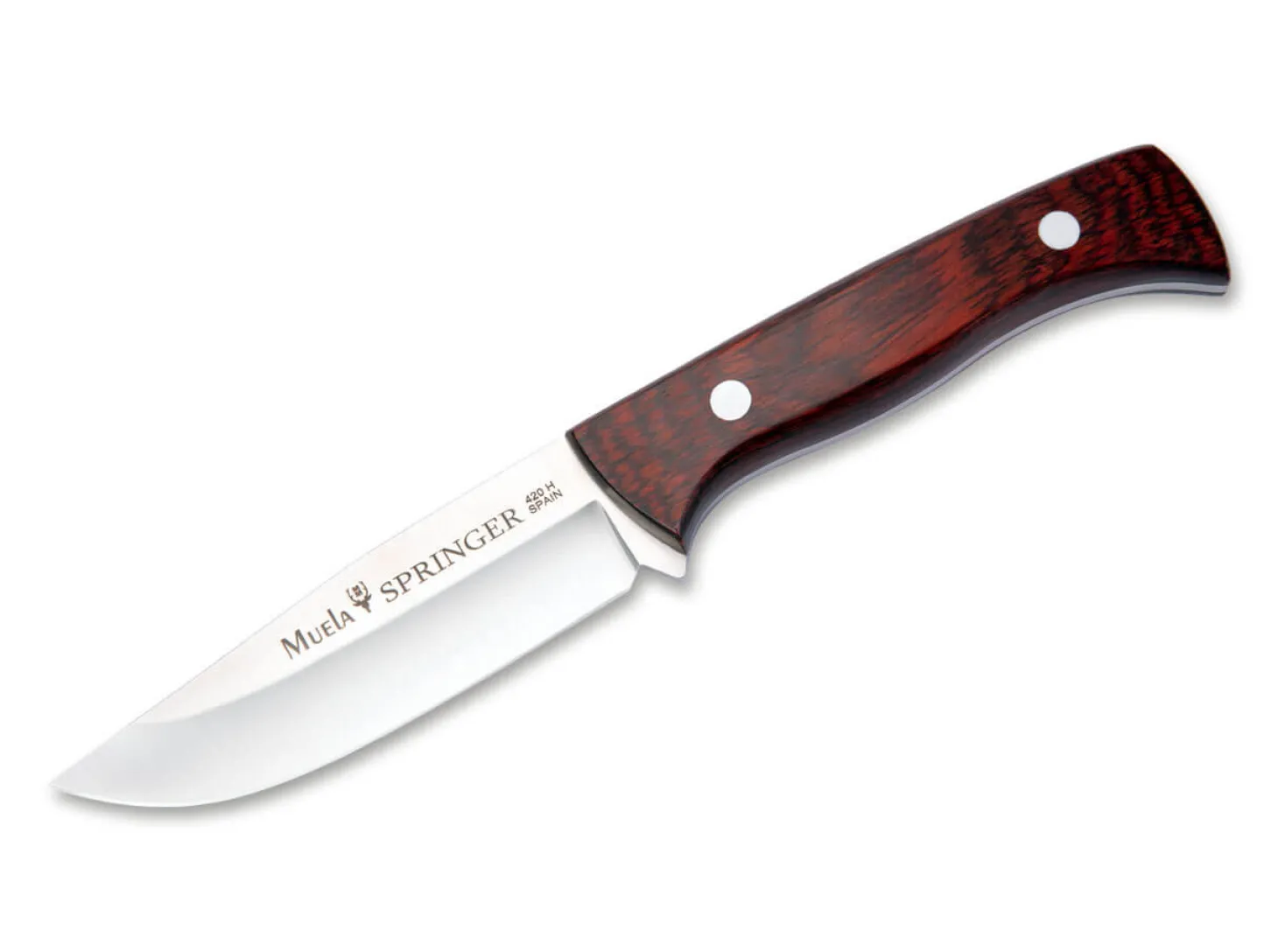 Springer-11R