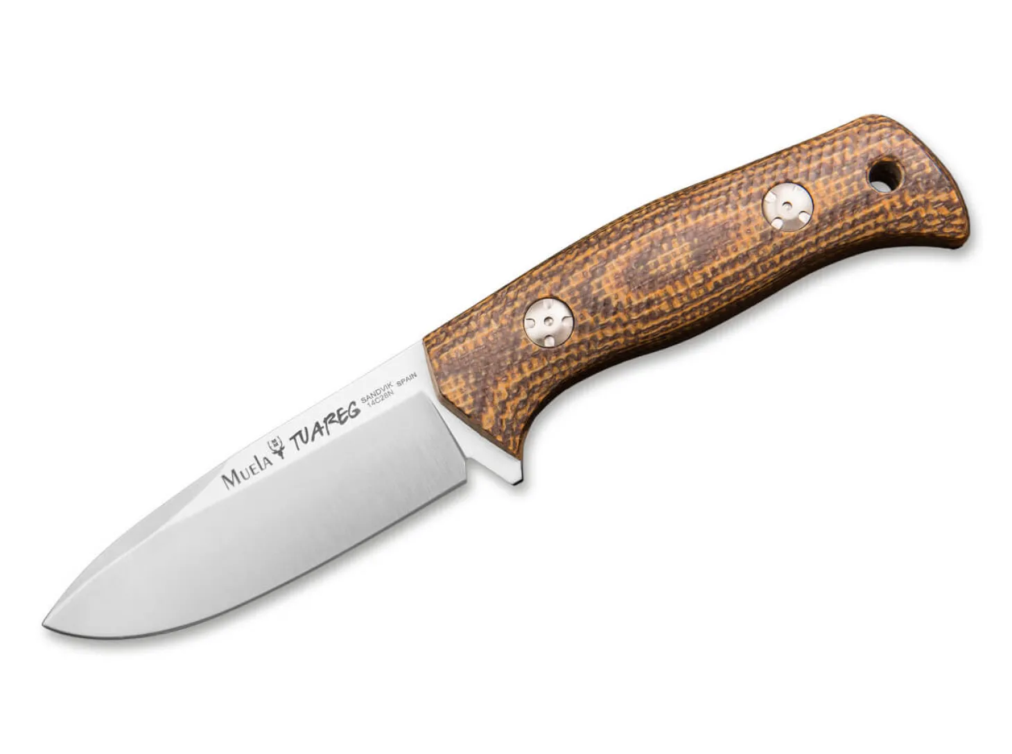 Tuareg Brown
